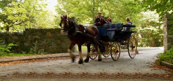 Knockreer Circular Path Jaunting Cart