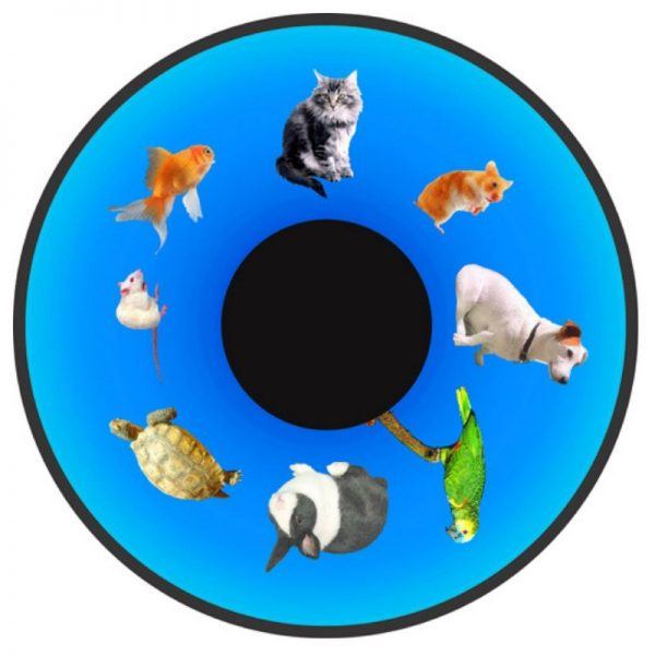 Family Pets 6 Inch Effect Wheel