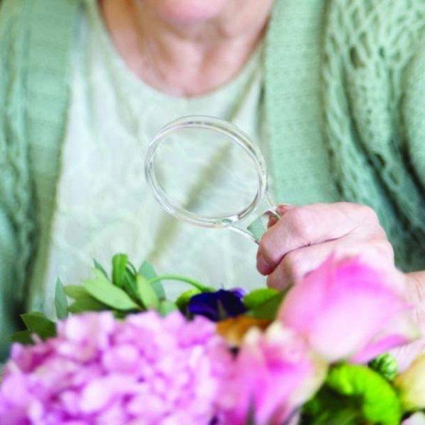 Large Magnifying Glass